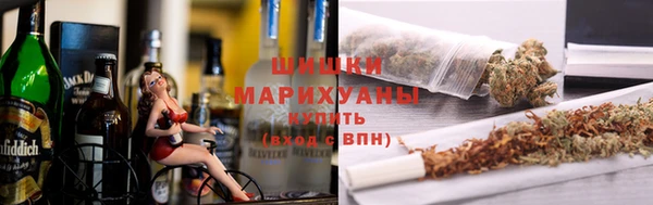 Альфа ПВП Новозыбков