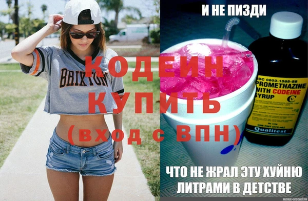 мдпв Елабуга