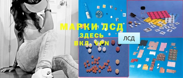 трава Беслан