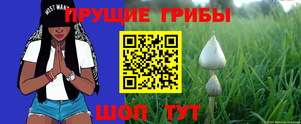 Псилоцибиновые грибы ЛСД  Вход с VPN  Красноуфимск 
